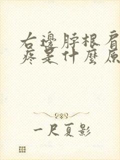 右边脖根肩膀处疼是什么原因