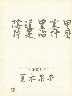 阴道里塞甲硝唑片是治什么的封面