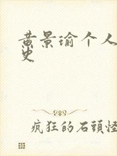 黄景瑜个人感情史封面