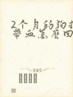 2个月的狗拉稀带血怎么回事