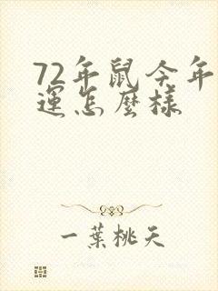 72年鼠今年财运怎么样