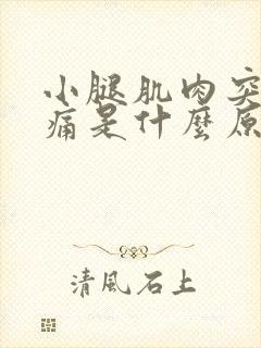 小腿肌肉突然疼痛是什么原因封面