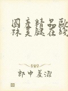 国产精品欧美丝袜美腿在线