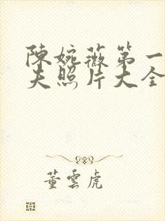 陈婉薇第一任丈夫照片大全