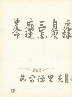 农历三月虎女的命运怎么样