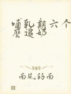 哺乳期六个月怎么追奶封面