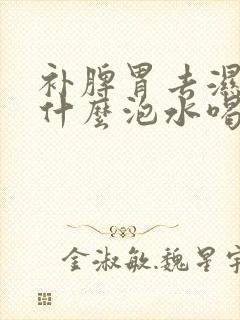 补脾胃去湿气用什么泡水喝