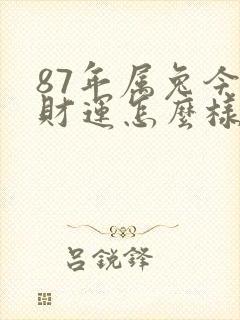 87年属兔今天财运怎么样