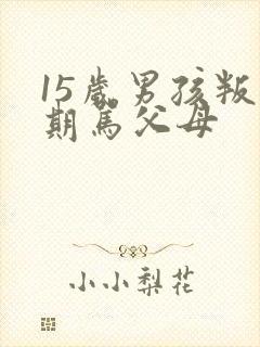 15岁男孩叛逆期骂父母