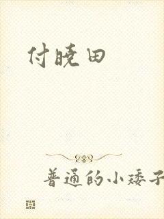 付晓田