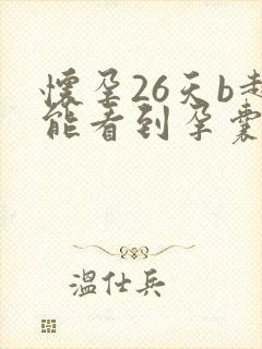怀孕26天b超能看到孕囊吗