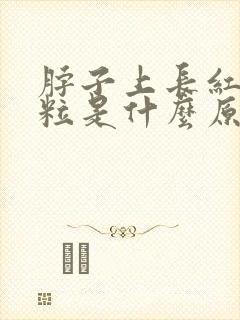 脖子上长红小肉粒是什么原因