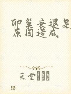 卵巢衰退是什么原因造成