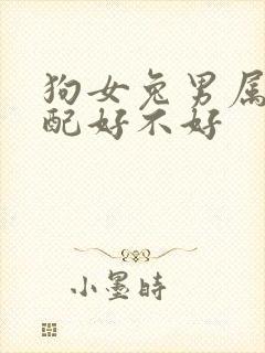 狗女兔男属相婚配好不好