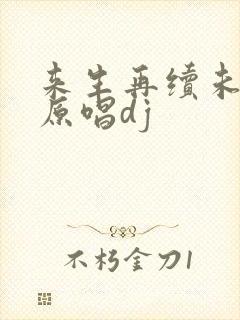 来生再续未了情原唱dj