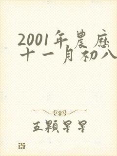 2001年农历十一月初八命运封面