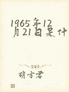 1965年12月21日是什么星座封面