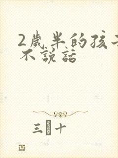 2岁半的孩子仍不说话