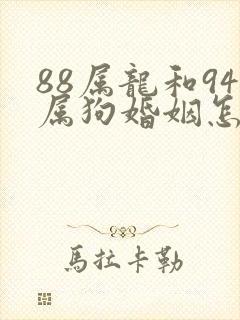 88属龙和94属狗婚姻怎么样封面