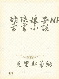 明珠娘子NPC古言小说封面