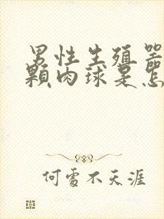 男性生殖器上长颗肉球是怎么回事