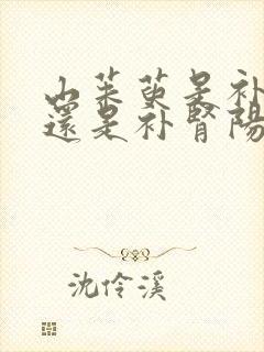 山茱萸是补肾阴还是补肾阳