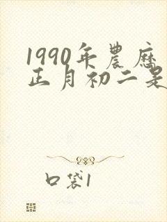 1990年农历正月初二是什么命封面