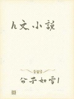 h文小说