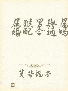 属猴男与属猴女婚配合适吗封面