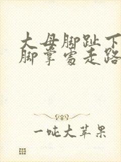 大母脚趾下面前脚掌处走路疼