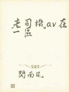 老司机av在线一区封面