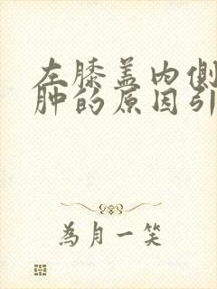 左膝盖内侧疼痛肿的原因引起的