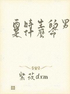 酉时生的男孩子是什么命