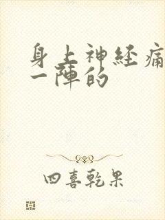 身上神经痛一阵一阵的封面