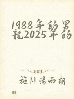 1988年的男龙2025年的运势会怎么样