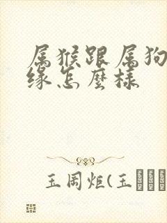 属猴跟属狗的姻缘怎么样