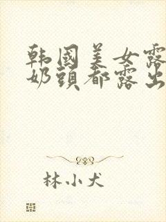 韩国美女露大胸奶头都露出来