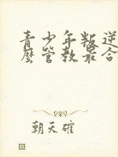 青少年叛逆期怎么管教最合适男孩