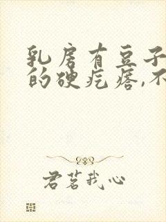 乳房有豆子大小的硬疙瘩,不痛不痒封面