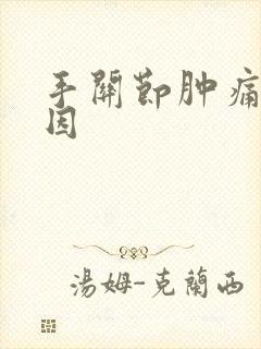 手关节肿痛的原因