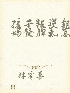 孩子叛逆期和妈妈发脾气怎么办封面