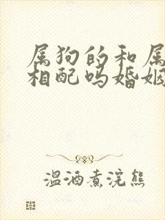 属狗的和属马的相配吗婚姻封面