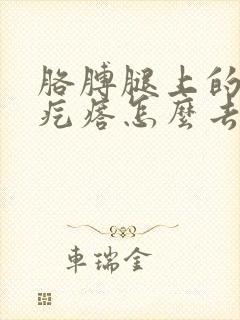 胳膊腿上的鸡皮疙瘩怎么去除