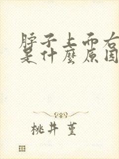 脖子上面右侧疼是什么原因呢封面