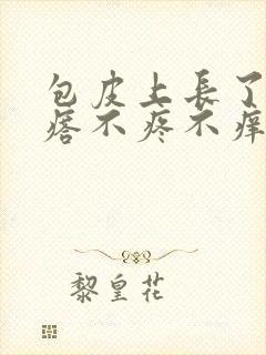 包皮上长了小疙瘩不疼不痒封面