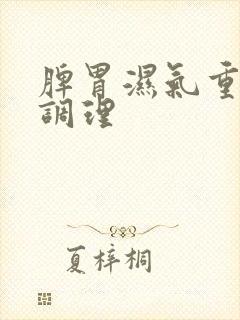 脾胃湿气重怎么调理