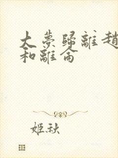 大梦归离赵远舟和离仑封面