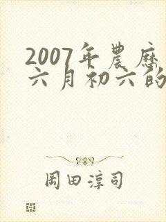 2007年农历六月初六的男命