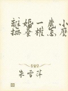 离婚一岁小孩子抚养权怎么判定