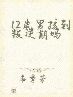 12岁男孩到了叛逆期吗